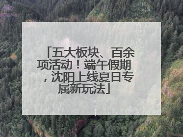 五大板块、百余项活动！端午假期，沈阳上线夏日专属新玩法