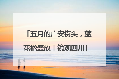 五月的广安街头，蓝花楹盛放丨镜观四川