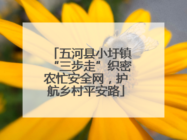 五河县小圩镇“三步走”织密农忙安全网，护航乡村平安路