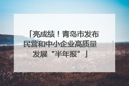 亮成绩！青岛市发布民营和中小企业高质量发展“半年报”