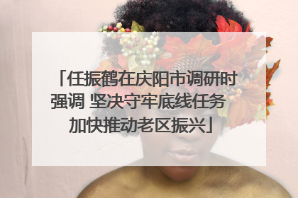 任振鹤在庆阳市调研时强调 坚决守牢底线任务 加快推动老区振兴