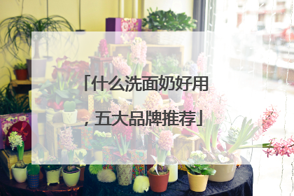 什么洗面奶好用，五大品牌推荐