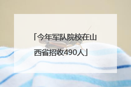 今年军队院校在山西省招收490人