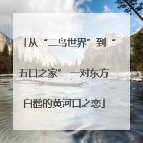 从“二鸟世界”到“五口之家” 一对东方白鹳的黄河口之恋