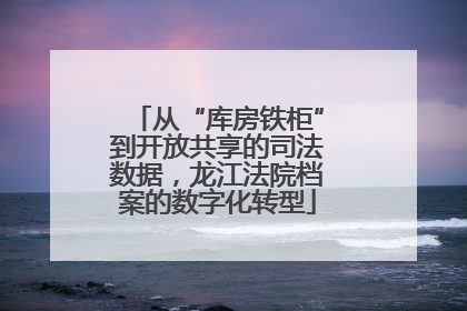 从“库房铁柜”到开放共享的司法数据，龙江法院档案的数字化转型