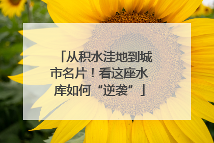 从积水洼地到城市名片！看这座水库如何“逆袭”