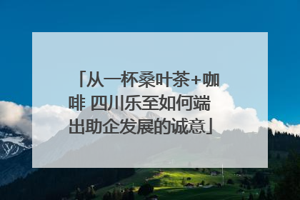 从一杯桑叶茶+咖啡 四川乐至如何端出助企发展的诚意