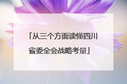 从三个方面读懂四川省委全会战略考量