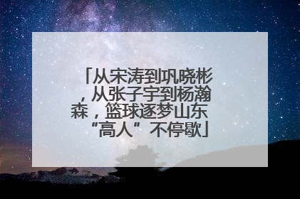 从宋涛到巩晓彬，从张子宇到杨瀚森，篮球逐梦山东“高人”不停歇