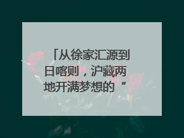 从徐家汇源到日喀则，沪藏两地开满梦想的“格桑花”！