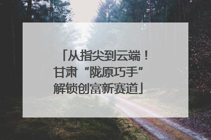 从指尖到云端！甘肃“陇原巧手”解锁创富新赛道
