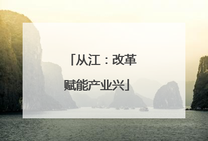 从江：改革赋能产业兴