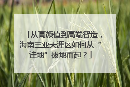 从高颜值到高端智造，海南三亚天涯区如何从“洼地”拔地而起？