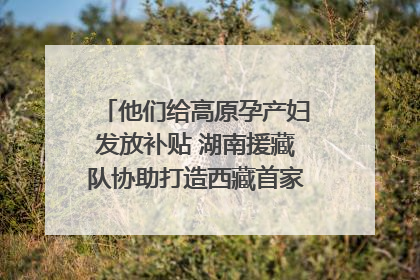 他们给高原孕产妇发放补贴 湖南援藏队协助打造西藏首家高原产儿协同中心