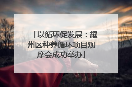以循环促发展：耀州区种养循环项目观摩会成功举办