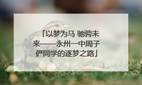 以梦为马 驰骋未来——永州一中周子俨同学的逐梦之路