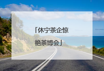 休宁茶企惊艳茶博会