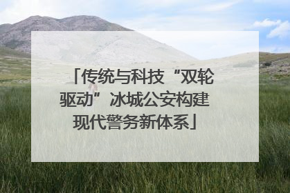 传统与科技“双轮驱动”冰城公安构建现代警务新体系