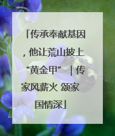 传承奉献基因，他让荒山披上“黄金甲”｜传家风薪火 颂家国情深