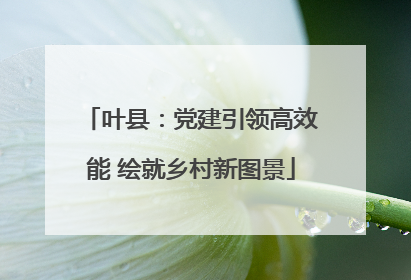 叶县：党建引领高效能 绘就乡村新图景