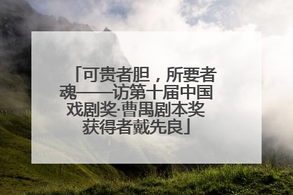可贵者胆，所要者魂——访第十届中国戏剧奖·曹禺剧本奖获得者戴先良
