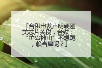 台积电发声明硬刚美芯片关税，台媒：“护岛神山”不想跪，赖当局呢？