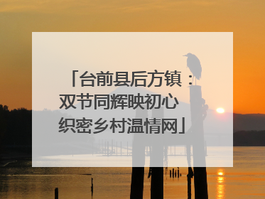 台前县后方镇：双节同辉映初心 织密乡村温情网