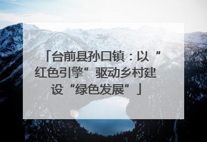 台前县孙口镇：以“红色引擎”驱动乡村建设“绿色发展”