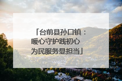 台前县孙口镇：暖心守护践初心 为民服务显担当