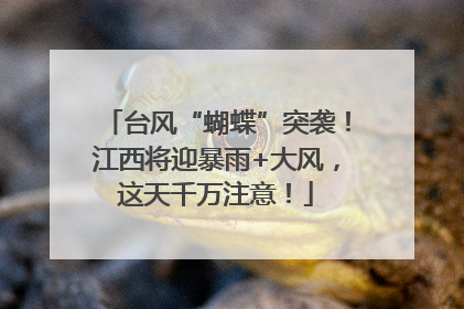 台风“蝴蝶”突袭！江西将迎暴雨+大风，这天千万注意！