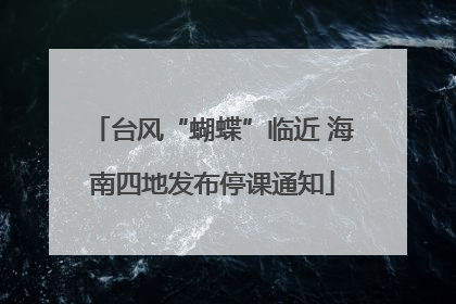 台风“蝴蝶”临近 海南四地发布停课通知