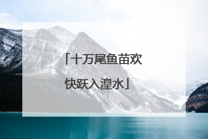 十万尾鱼苗欢快跃入湟水