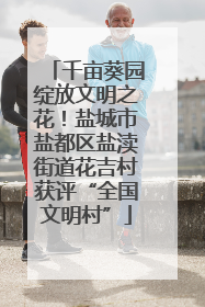千亩葵园绽放文明之花！盐城市盐都区盐渎街道花吉村获评“全国文明村”