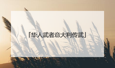 华人武者意大利传武