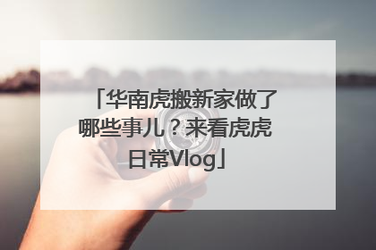 华南虎搬新家做了哪些事儿？来看虎虎日常Vlog