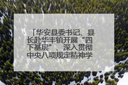 华安县委书记、县长赴华丰镇开展“四下基层”、深入贯彻中央八项规定精神学习教育工作调研