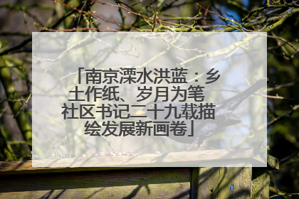 南京溧水洪蓝：乡土作纸、岁月为笔 社区书记二十九载描绘发展新画卷