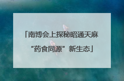 南博会上探秘昭通天麻“药食同源”新生态