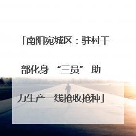 南阳宛城区：驻村干部化身 “三员” 助力生产一线抢收抢种
