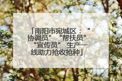 南阳市宛城区：“协调员”“帮扶员”“宣传员” 生产一线助力抢收抢种