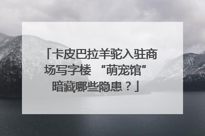 卡皮巴拉羊驼入驻商场写字楼 “萌宠馆”暗藏哪些隐患？