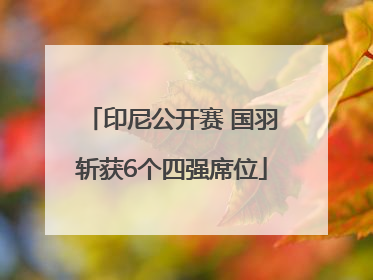 印尼公开赛 国羽斩获6个四强席位