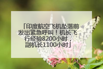 印度航空飞机坠落前发出紧急呼叫！机长飞行经验8200小时，副机长1100小时