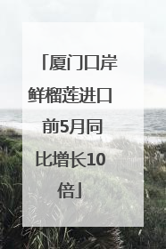 厦门口岸鲜榴莲进口 前5月同比增长10倍