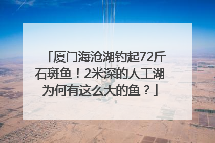 厦门海沧湖钓起72斤石斑鱼！2米深的人工湖为何有这么大的鱼？