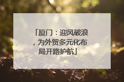 厦门：迎风破浪，为外贸多元化布局开路护航