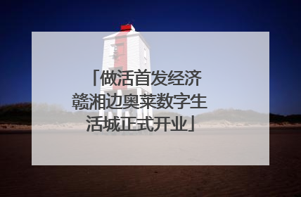 做活首发经济 赣湘边奥莱数字生活城正式开业