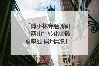 傅小林专题调研“两山”转化突破攻坚战推进情况