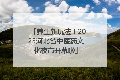 养生新玩法！2025河北省中医药文化夜市开幕啦