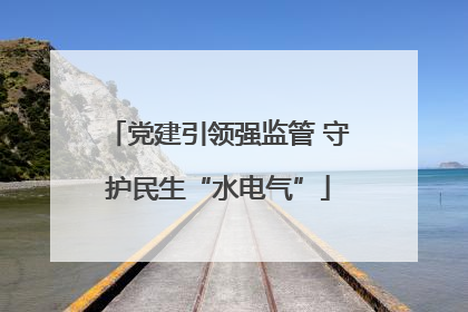 党建引领强监管 守护民生“水电气”